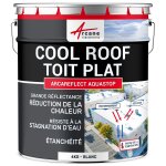 Cool roof toit plat terrasse rflchissante blanc 4 kg