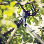 Coupe - branches powergear x - m � cr�maill�re et � lame franche 65 cm - Ø 50 mm