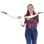 Crâne de décoration vache hwc - d32, polyresin, trophée de taureau avec cornes, 103x43x11cm Crâne de décoration vache hwc - d32, polyresin, trophée de taureau avec cornes, 103x43x11cm