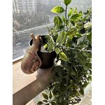 Dcoration d'escargot pour plantes - statue en rsine - pot de fleurs - ornements en rsine  suspendre ...