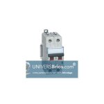 Disjoncteur dx3 2p c40 6000a / 10ka