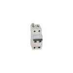 Disjoncteur dx�6000 10ka arriv�e hauted�part bas vis 2p 32a courbe c 2 mod