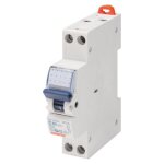 Disjoncteur ph + n connexion � vis 1 module 2a gewiss