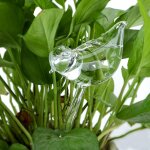 Dispositif d'arrosage automatique en verre transparent, dispositif d'arrosage automatique en forme d'oiseau, ... Dispositif d'arrosage automatique en verre transparent, dispositif d'arrosage automatique en forme d'oiseau, ...