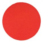 Disque en caoutchouc mousse eibenstock (velcro) pour epg 400