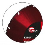 Disques diamants bras�s jante segment�e coupe acier 950 - d125 mm leman