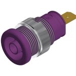 Douille banane de sécurité Ø de la broche: 4 mm sks hirschmann seb 2610 f4, 8 972355109 violet 1 pc(s) ... Douille banane de sécurité Ø de la broche: 4 mm sks hirschmann seb 2610 f4, 8 972355109 violet 1 pc(s) ...