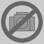 Dt 2971 lame pour scie alligator 295mm bois tendre ou dur