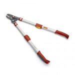 Elagueur premium t�lescopique � enclume 50 mm outils wolf or900t - powercut