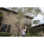 Elagueuse sur perche greenworks 40v - 20 cm - sans batterie ni chargeur - g40psf