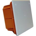 Electraline 60411 bo�te de d�rivation encastrer ma�onnerie 120 x 120 mm