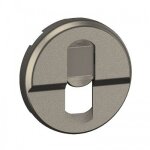 Enjoliveur pour prise simple rj45 c�liane - titane legrand