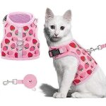 Ensemble harnais et laisse pour chat strawberry 2025 - gilet en maille florale rglable et anti - fuite ...