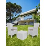 Ensemble de jardin avec coussins, 2 fauteuils et 1 table conteneur d'extrieur, made in italy, couleur ...