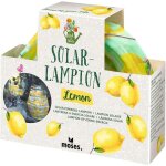 Ershi - . lampion solaire en forme de feuille et fleur - design d'ambiance - avec lumire led blanc chaud ...