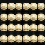 Eryi - 24 pcs mini lumires led submersible, blanc chaud bougies a led eclairage ip68 etanche lamps pour ...