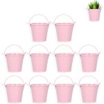 Eryi - mini seau en mtal, lot de 10 petit mtal seaux bote a drage bonbonnire pot de fleur suspendu ...