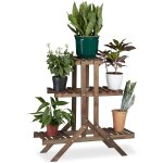 Etagère a fleurs en bois escalier pour plantes echelle 3 etages 5 places hxlxp: 82, 5 x 83 x 28, 5 cm ... Etagère a fleurs en bois escalier pour plantes echelle 3 etages 5 places hxlxp: 82, 5 x 83 x 28, 5 cm ...