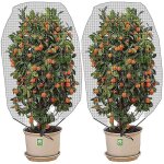 Filet anti - insectes, lot de 2 filets de jardin avec cordon de serrage, 1, 2 x 1, 4 m, filet de protection ... Filet anti - insectes, lot de 2 filets de jardin avec cordon de serrage, 1, 2 x 1, 4 m, filet de protection ...