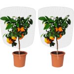 Filet anti insecte, 2pcs filet de protection contre les insectes, filets de jardin anti - insectesavec ...
