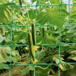 Filet d'escalade en rotin pour jardin vert, treillis en nylon pour plantes, maille rapduty, vigne pour ... Filet d'escalade en rotin pour jardin vert, treillis en nylon pour plantes, maille rapduty, vigne pour ...