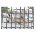 Filet de protection pour bassin de jardin 4 x 4 m, filet de protection pour entra�nement de golf, maille ...
