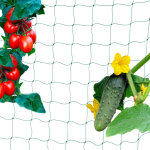 Filet tuteur pour plantes grimpantes ou potager, filet maille 10 cm, balcon ou jardin, 180 x 360 cm, ...