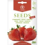 Fraises, graines prêt a pousser minigarden, 100% naturelles sans propagateurs chimiques ni génie génétique, ... Fraises, graines prêt a pousser minigarden, 100% naturelles sans propagateurs chimiques ni génie génétique, ...