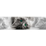 Frise auto - collante chatons gris aux yeux verts - 1 rouleau