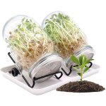Germoir a graines en verre, avec couvercles en acier inoxydable, plateau, 2 pots de 940 ml pour la culture ... Germoir a graines en verre, avec couvercles en acier inoxydable, plateau, 2 pots de 940 ml pour la culture ...