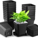 Gk75455 plante pots 7 x 7 x 8 cm 20 pcs semis en plastique pots de fleurs avec soucoupe pots de plantes ...