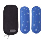 Glaciere a insuline avec 2 blocs refrigerants, sac isotherme medical portable pour les voyages en plein ...