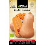 Graines bio de courge butternut Graines bio de courge butternut