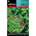 Graines de cresson de jardin