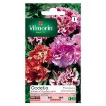 Graines de godetia double a fleur azale vari vilmorin