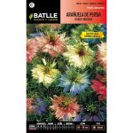 Graines de nigelle de damas double vari�e