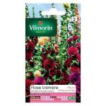Graines de rose trémière double grande variée vilmorin Graines de rose trémière double grande variée vilmorin