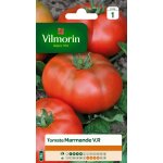 Graines de tomate varit  marmande  vilmorin semis de fvrier a mai