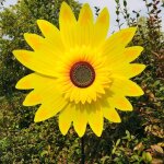Grande éolienne tournesol pour cour et jardin, sculptures à vent extérieures, cadeaux d'anniversaire ... Grande éolienne tournesol pour cour et jardin, sculptures à vent extérieures, cadeaux d'anniversaire ...