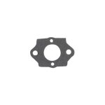 Greenstar joint d`admission pour carburateur walbro - 7396