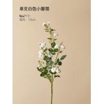 Internet clbrit ins vent fleur petite rose tenant un bouquet de salon table a manger chambre dcoration ...
