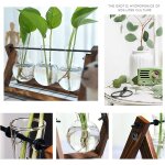 Jardini�re a�rienne vintage avec support en bois ¿ vase en verre terrarium pour d�coration int�rieure ...