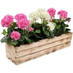 Jardinire a herbes en bois - longue jardinire pour balcon - 600 x 180 x 150 mm - brl