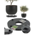 Jardini�re porte plantes * ultraplat designer sous - vases a roulettes * Ø28cm pour tous les pots et ...