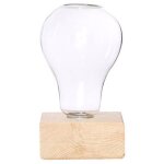 Jardinire en verre de cristal avec support en bois, plantes hydroponiques, ampoule de bureau, vase a ...