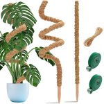 Jum - lot de 2 tuteurs enmousse pour plantes grimpantes 122cm et 63cm pour plantes grimpantes pour plantes ...