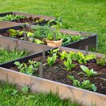 Kalanka - lot de 10 etiquettes pour plantes, accessoires jardin & potager, ardoises inscriptibles, 20x3 ...
