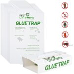 Kalanka - lot de 10 pièces ¿ piège à glue ultra - collante sans poison ¿ attrape rats, souris et nuisibles ... Kalanka - lot de 10 pièces ¿ piège à glue ultra - collante sans poison ¿ attrape rats, souris et nuisibles ...