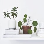 Kalanka - 100 pieces 20x3cm grand etiquette pour plantes, etiquette jardin, etiquettes potager plantation, ...