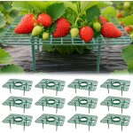 Kalanka - 12 pices support fraises carr u2013 4 pieds stables, anti - limaces & moisissure, grillage ...